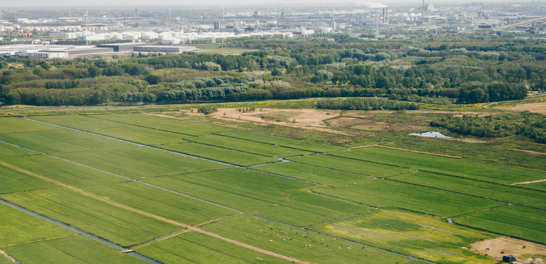 Precision Agriculture