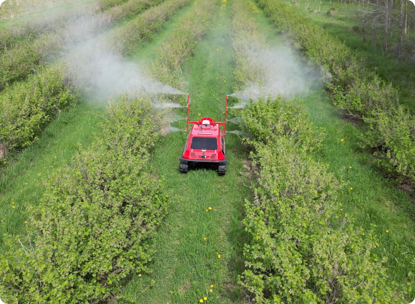 Orchard Robots